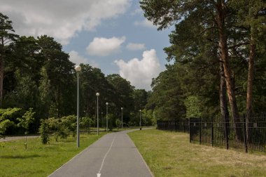 İki tarafında ağaçlar olan güzel bir yol, bir bisiklet yolu..