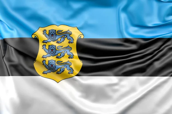 Bandera Estonia Con Escudo Armas Representación Aislado — Foto de Stock
