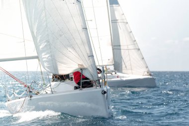 Dalgalanan yelkenli iki yat parıldayan okyanustaki bir yelkenli yarışında yarışıyor.