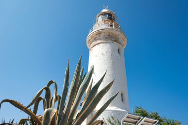 Beyaz Paphos Deniz Feneri önünde büyük bir agave bitkisi bulunan açık mavi bir gökyüzüne karşı duruyor. Kıbrıs