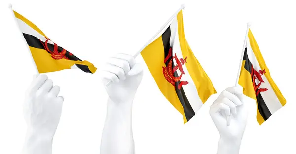 stock image Hands waving flag of Brunei isolated on white. 3d Rendering