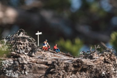 Minyatür yürüyüşçüler yıpranmış bir ahşap tabelanın yakınındaki kütüğe mola veriyorlar.