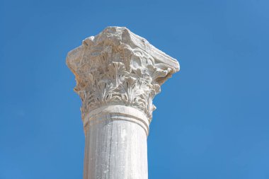 Antik Yunan sütununda akanthus yapraklarının süsleme yaptığı görülüyor. Kourion arkeoloji sahası, Limasol İlçesi, Kıbrıs