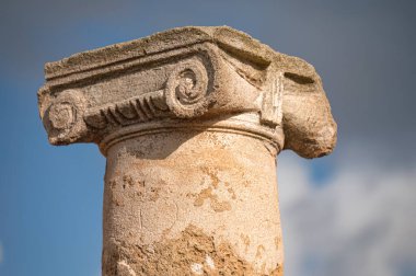 Theseus Villa 'sındaki Antik Yunan sütunu. Paphos Arkeoloji Parkı, Kıbrıs