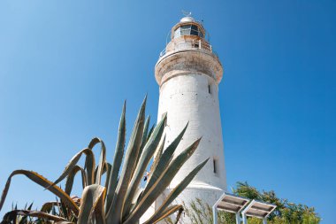 Beyazlatılmış Paphos deniz feneri, önünde büyük bir agave bitkisi olan açık mavi bir gökyüzüne karşı dimdik ayakta duruyor. Kıbrıs