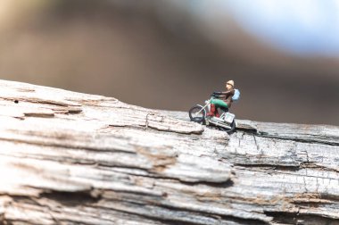 Sırt çantalı bir adamın minyatür biblosu, açık havada güneşli bir günün tadını çıkarıyor.