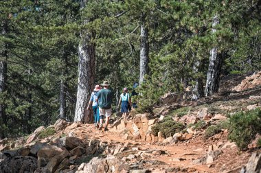 Bereketli çam ormanları ve açık gökyüzünün altındaki kayalık arazilerle çevrili troodo dağlarındaki doğal doğa patikalarını keşfeden yürüyüşçüler.