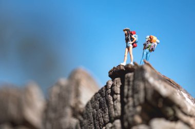 Açık mavi gökyüzünün altında bir dağın tepesinde duran minyatür gezginler manzaranın tadını çıkarıyor ve başarılarını kutluyorlar.