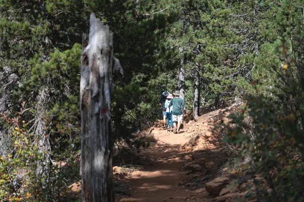 Troodos dağlarındaki Artemis doğa patikalarını keşfeden yürüyüşçüler, güneşli bir günde yemyeşil ve engebeli arazilerle çevrili.