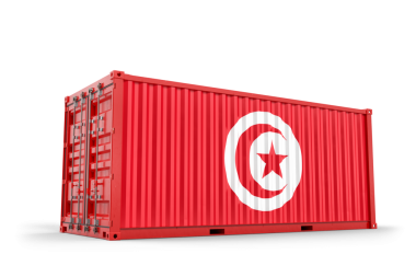 Tunus bayrağını gösteren kırmızı kargo konteynırı ithalat, ihracat ve küresel lojistiği simgeliyor. 3d Hazırlama