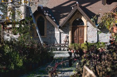Kıbrıs Rum Kesimi 'nin Troodos dağlarında yuva yapmış, Platanistasa' daki geleneksel bir taş kilisenin kiremitli çatısında kumrular dinleniyor.