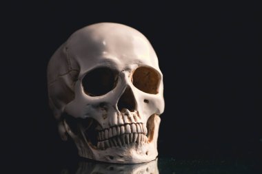 Cadılar Bayramı için ürkütücü kafatası. Korku duvar kâğıdı.