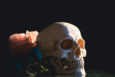 Pastel pembe gül çiçekli bir kafatası. Calavera Catrina. Dia de los muertos. Ölülerin Günü. 