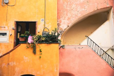 Procida island with colorful houses in small town street