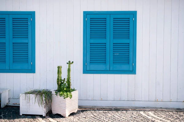 Porta Azul Com Cacto Tradicionais Muralhas Brancas Ilha Procida Itália — Fotografia de Stock