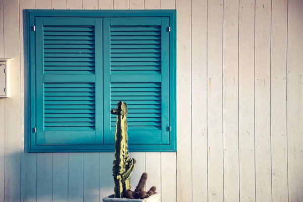 Μπλε Πόρτα Κάκτο Και Τους Παραδοσιακούς Λευκούς Τοίχους Στο Νησί — Φωτογραφία Αρχείου
