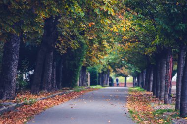 Budapeşte sokaklarında sonbahar sahnesi.