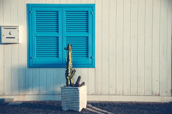 Μπλε Πόρτα Κάκτο Και Τους Παραδοσιακούς Λευκούς Τοίχους Στο Νησί — Φωτογραφία Αρχείου