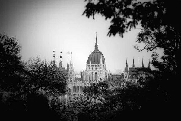 Panorama Mit Dem Gebäude Des Ungarischen Parlaments Der Donau Budapest — Stockfoto