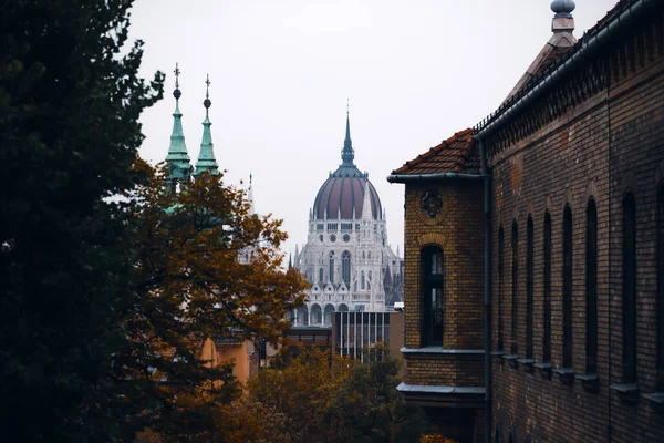 Panorama Con Edificio Del Parlamento Húngaro Río Danubio Ciudad Budapest —  Fotos de Stock