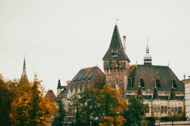 Vajdahunyad Castle şehir Park Budapeşte, Macaristan'da Güzel güneş ışığı ile.