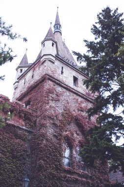 Vajdahunyad Castle şehir Park Budapeşte, Macaristan'da Güzel güneş ışığı ile.