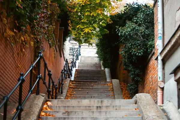 ブダペストの街の秋の風景 — ストック写真