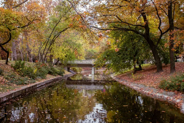 カラフルな木々や日光の公園で美しいロマンチックな路地 秋の自然 — ストック写真