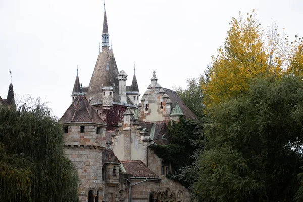 沃伊达奇城堡与明媚的阳光 在城市公园的布达佩斯 匈牙利 — 图库照片