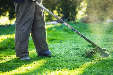 Çim biçme makinesiyle çimleri biçmek. Bahçe işleri konsepti.