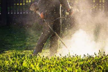 Çim biçme makinesiyle çimleri biçmek. Bahçe işleri konsepti.