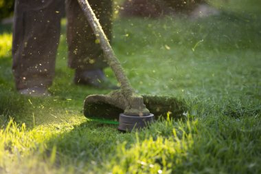 Çim biçme makinesiyle çimleri biçmek. Bahçe işleri konsepti.