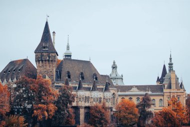 Vajdahunyad Castle şehir Park Budapeşte, Macaristan'da Güzel güneş ışığı ile.