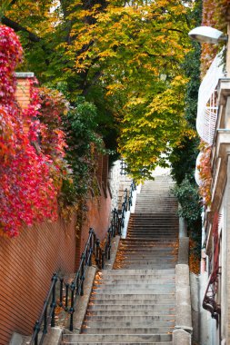 Budapeşte sokaklarında sonbahar sahnesi.