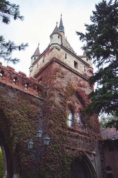 Vajdahunyad Castle şehir Park Budapeşte, Macaristan'da Güzel güneş ışığı ile.