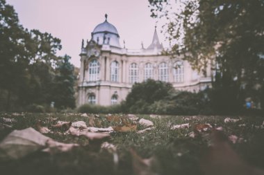 Vajdahunyad Castle şehir Park Budapeşte, Macaristan'da Güzel güneş ışığı ile.