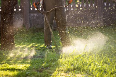 Çim biçme makinesiyle çimleri biçmek. Bahçe işleri konsepti.