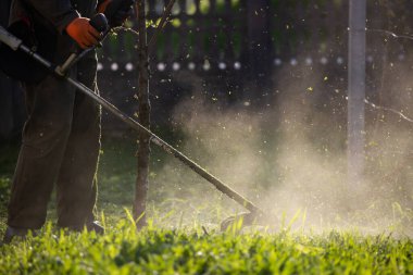 Çim biçme makinesiyle çimleri biçmek. Bahçe işleri konsepti.