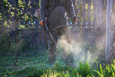 Çim biçme makinesiyle çimleri biçmek. Bahçe işleri konsepti.