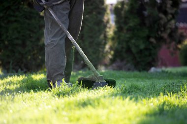 Çim biçme makinesiyle çimleri biçmek. Bahçe işleri konsepti.