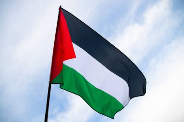Palestine national flag waving in the wind. International relations concept.