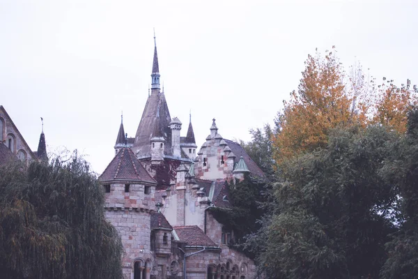 Zamek Vajdahunyad Piękne Światło Słoneczne City Park Budapest Węgry — Zdjęcie stockowe