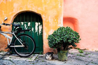 Procida, the island of cats.