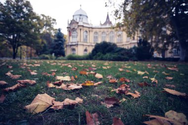 Vajdahunyad Castle şehir Park Budapeşte, Macaristan'da Güzel güneş ışığı ile.