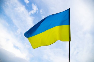 Ukrayna bayrağı açık havada rüzgarda sallanıyor. Demokrasi ve siyaset. 