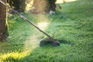 Çim biçme makinesiyle çimleri biçmek. Bahçe işleri konsepti.