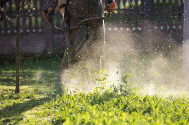 Çim biçme makinesiyle çimleri biçmek. Bahçe işleri konsepti.