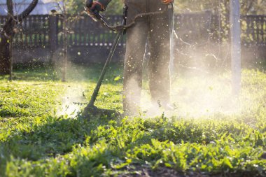 Çim biçme makinesiyle çimleri biçmek. Bahçe işleri konsepti.