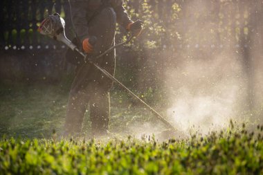 Çim biçme makinesiyle çimleri biçmek. Bahçe işleri konsepti.