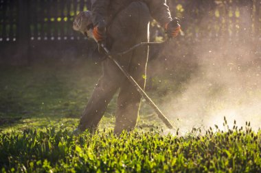 Çim biçme makinesiyle çimleri biçmek. Bahçe işleri konsepti.